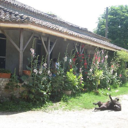 Chambres D'Hotes Le Chintre Queyssel Exterior foto
